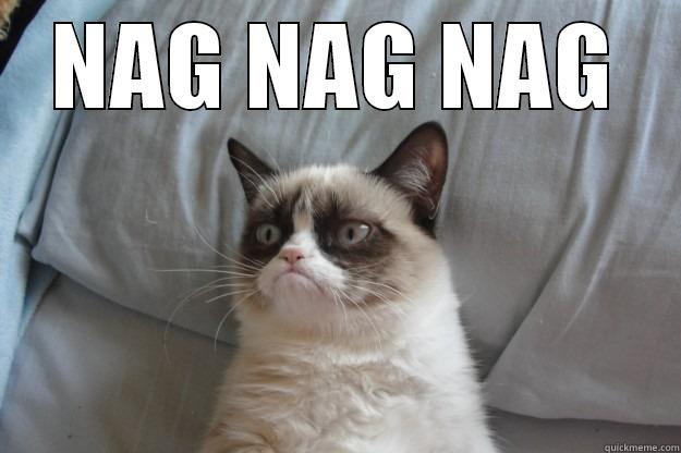 NAG NAG NAG  Grumpy Cat