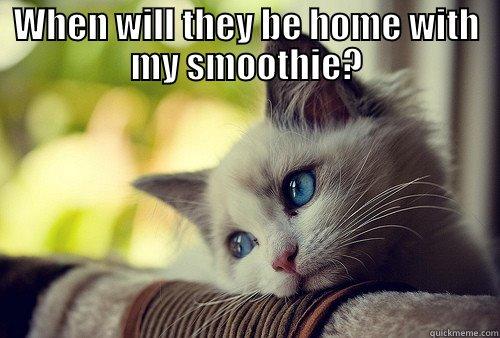 WHEN WILL THEY BE HOME WITH MY SMOOTHIE?  First World Problems Cat