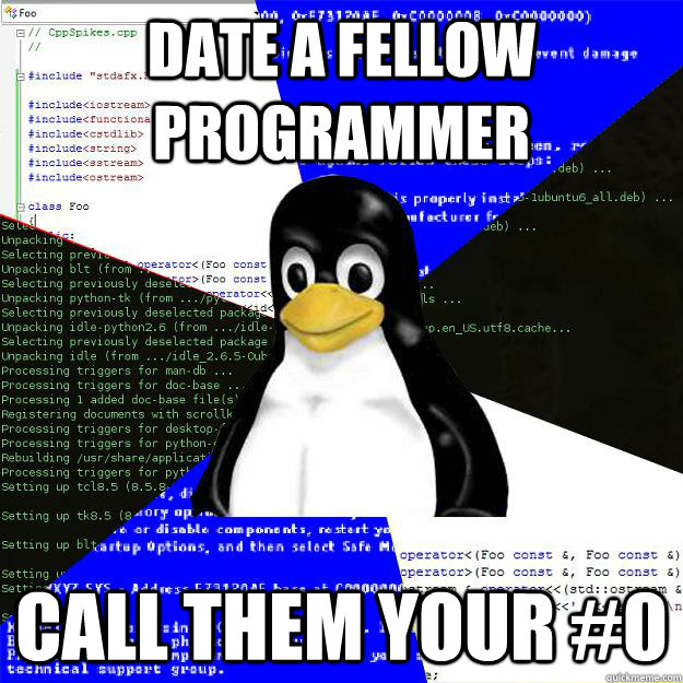 Date a fellow programmer Call them your #0 - Date a fellow programmer Call them your #0  Computer Science Penguin