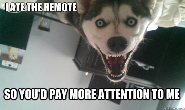 I ate the remote So you'd pay more attention to me  Overly Attached Dog