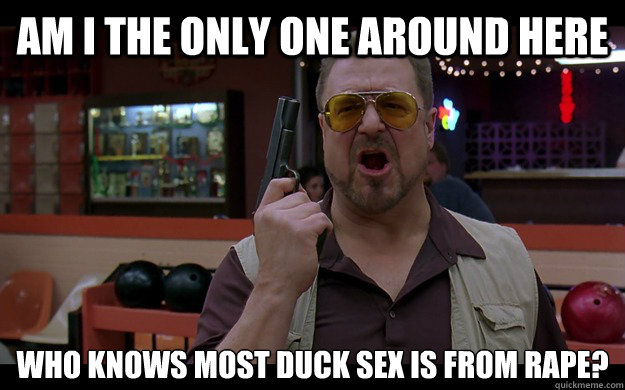 Am I the only one around here Who knows most duck sex is from rape?  