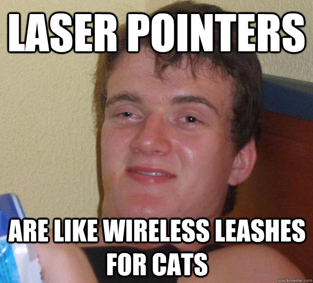 are laser pointers bad for cats reddit