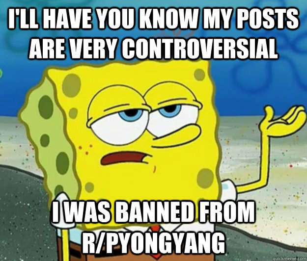 I'll have you know My posts are very controversial I was banned from r/pyongyang  Tough Spongebob