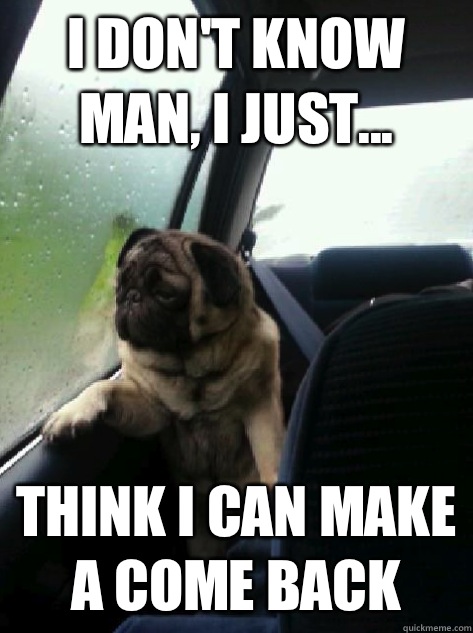 I don't know man, I just... Think I can make a come back  Introspective Pug
