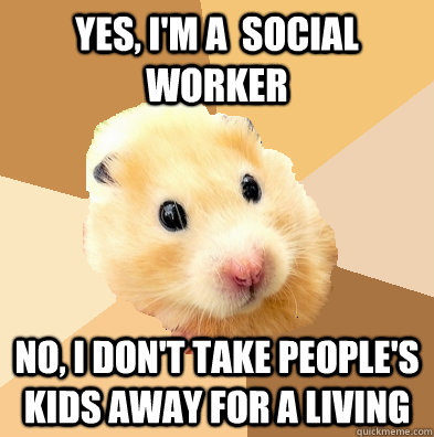 Yes, I'm a  Social Worker No, I don't take people's kids away for a living  Social Work Hamster