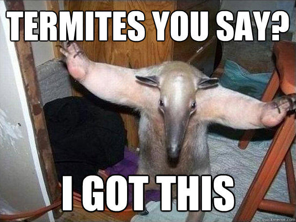 Termites you say? i got this  I got this