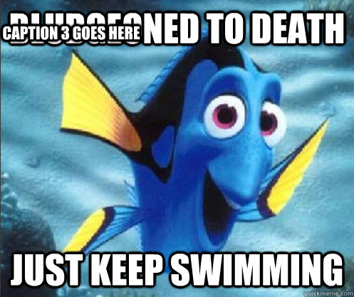 bludgeoned to death   just keep swimming  Caption 3 goes here - bludgeoned to death   just keep swimming  Caption 3 goes here  optimistic dory