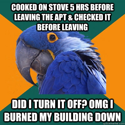 cooked on stove 5 hrs before leaving the apt & Checked it before leaving did I turn it off? omg i burned my building down  Paranoid Parrot