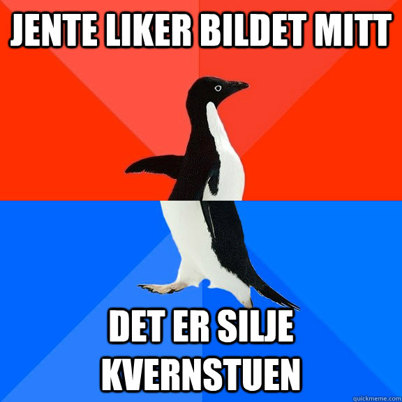 Jente liker bildet mitt det er silje kvernstuen  Socially Awesome Awkward Penguin