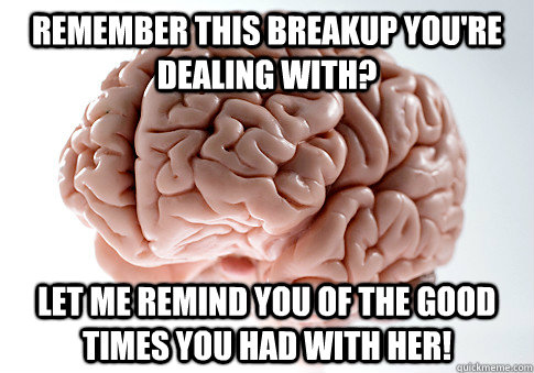Remember this breakup you're dealing with? Let me remind you of the good times you had with her!  Scumbag Brain