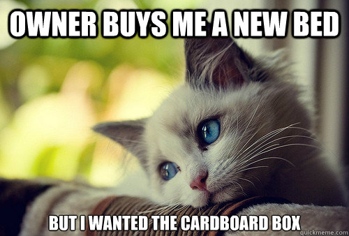 Owner buys me a new bed But I wanted the cardboard box
 - Owner buys me a new bed But I wanted the cardboard box
  First World Problems Cat