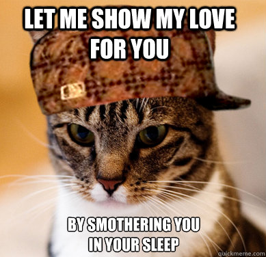 let me show my love for you by smothering you in your sleep  Scumbag Cat