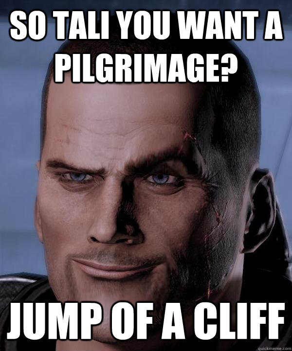 So Tali you want a pilgrimage? Jump of a cliff   Scumbag shepard