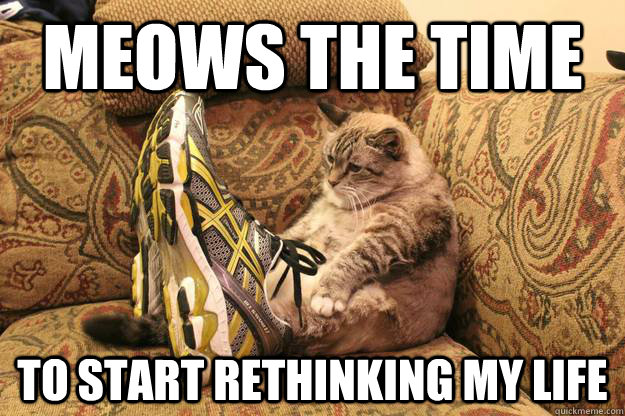 Meows the time To start rethinking my life - Meows the time To start rethinking my life  Misc