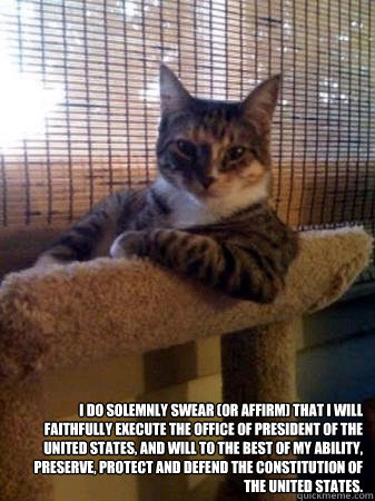  I do solemnly swear (or affirm) that I will faithfully execute the office of President of the United States, and will to the best of my ability, preserve, protect and defend the Constitution of the United States.  The Most Interesting Cat in the World