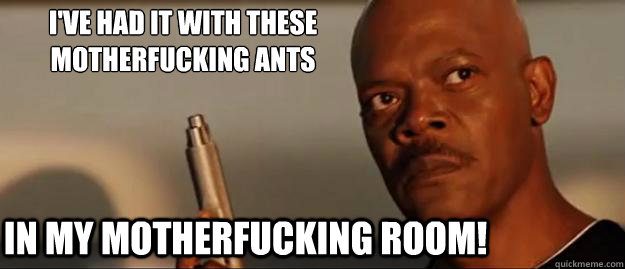 I've had it with these motherfucking ants In my motherfucking room!  Snakes on a Plane Sammy Jackson