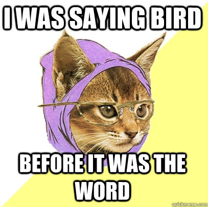 i was saying bird before it was the word  Hipster Kitty