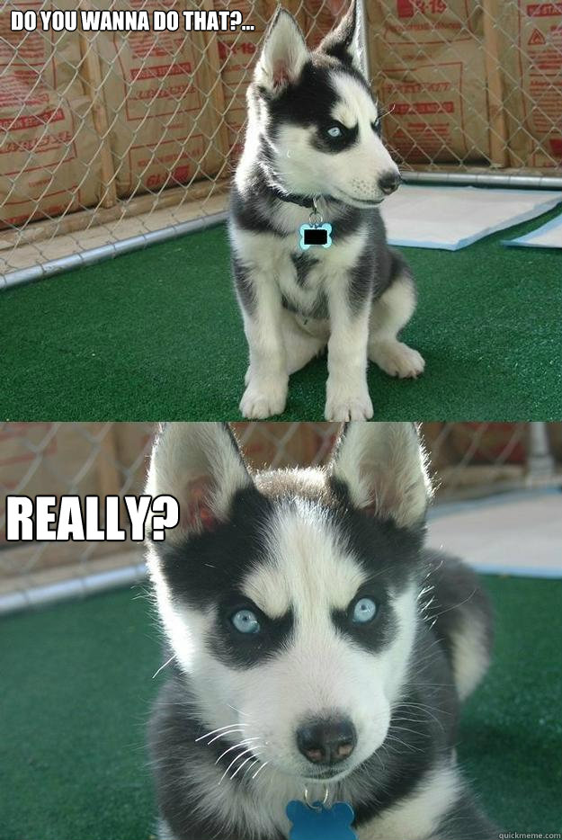 do you wanna do that?... really?  Insanity puppy