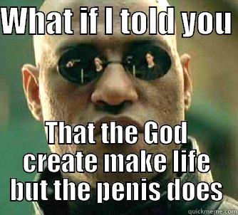 WHAT IF I TOLD YOU  THAT THE GOD CREATE MAKE LIFE BUT THE PENIS DOES Matrix Morpheus