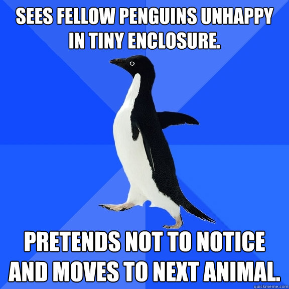 Sees fellow penguins unhappy in tiny enclosure.  Pretends not to notice and moves to next animal.   Socially Awkward Penguin