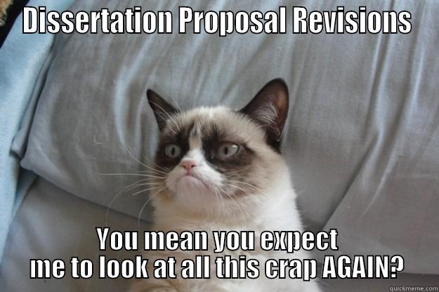 DISSERTATION PROPOSAL REVISIONS YOU MEAN YOU EXPECT ME TO LOOK AT ALL THIS CRAP AGAIN? Grumpy Cat