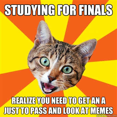 studying for finals realize you need to get an A just to pass and look at memes  Bad Advice Cat