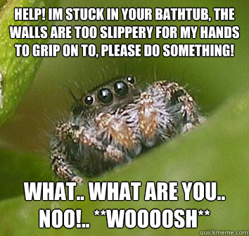 help! im stuck in your bathtub, the walls are too slippery for my hands to grip on to, please do something! What.. what are you.. noO!.. **woooosh**  Misunderstood Spider