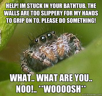 help! im stuck in your bathtub, the walls are too slippery for my hands to grip on to, please do something! What.. what are you.. noO!.. **woooosh** - help! im stuck in your bathtub, the walls are too slippery for my hands to grip on to, please do something! What.. what are you.. noO!.. **woooosh**  Misunderstood Spider