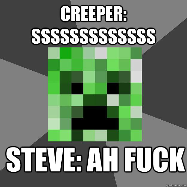 Creeper: sssssssssssss Steve: Ah Fuck   Creeper