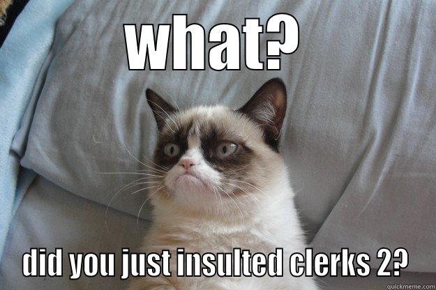 WHAT? DID YOU JUST INSULTED CLERKS 2? Grumpy Cat