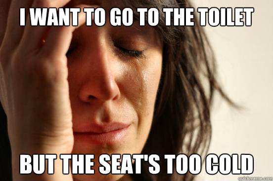 i want to go to the toilet but the seat's too cold  First World Problems