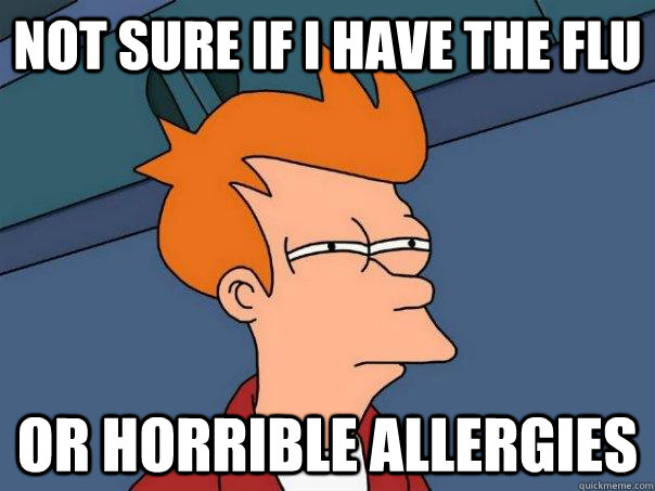 Not sure if i have the flu or horrible allergies  Futurama Fry