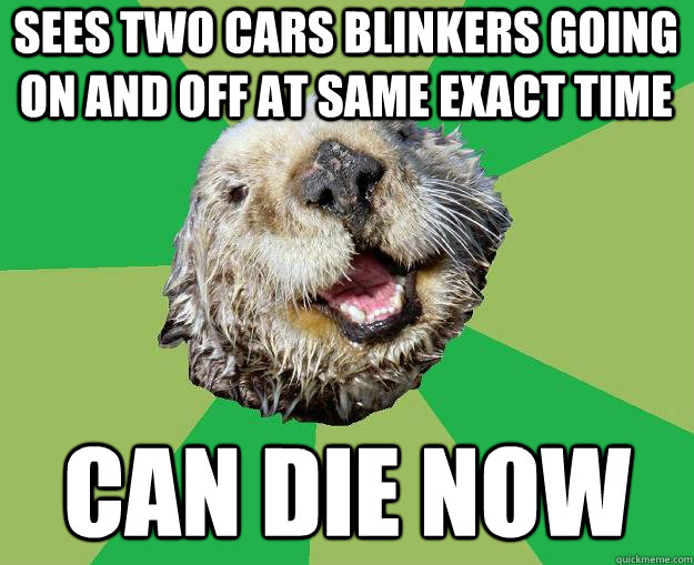 Sees two cars blinkers going on and off at same exact time can die now  OCD Otter