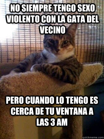 No siempre tengo sexo violento con la gata del vecino  Pero cuando lo tengo es cerca de tu ventana a las 3 am  The Most Interesting Cat in the World