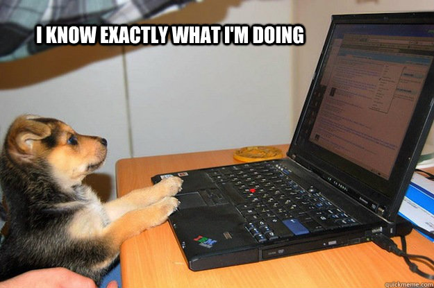 I know exactly what I'm doing - I know exactly what I'm doing  I know exactly what Im doing