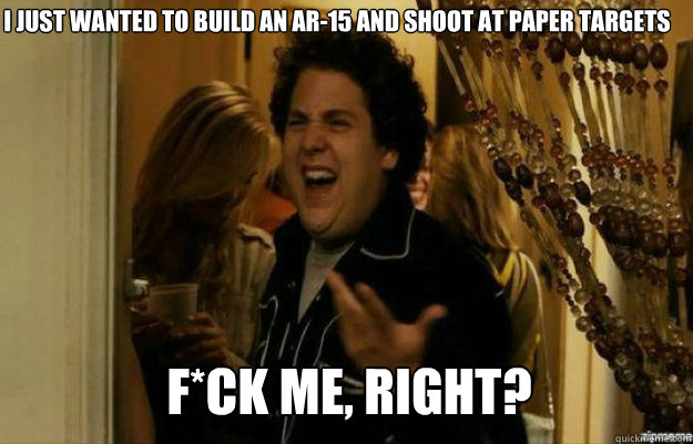I just wanted to build an AR-15 and shoot at paper targets F*CK ME, RIGHT?  fuck me right