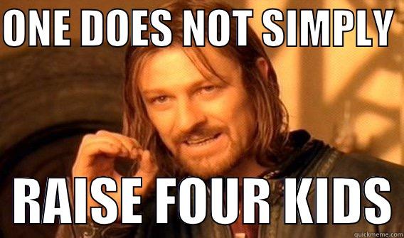 RAISING KIDS - ONE DOES NOT SIMPLY    RAISE FOUR KIDS One Does Not Simply