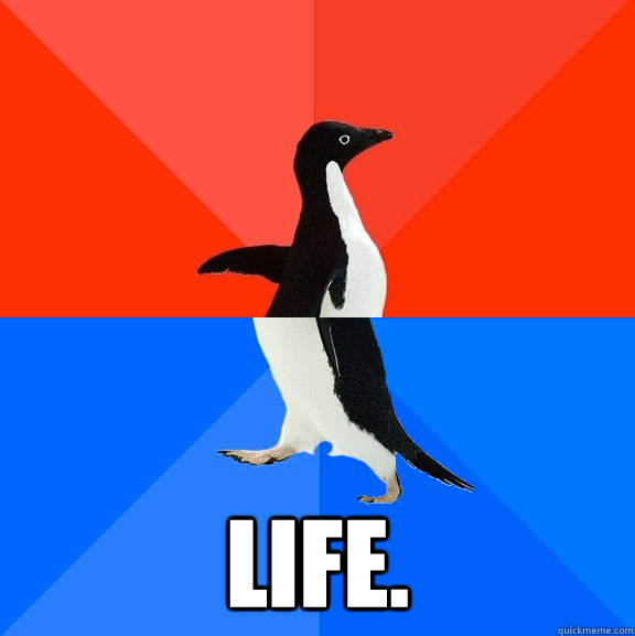  life.  Socially Awesome Awkward Penguin