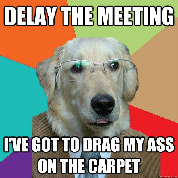 delay the meeting I'VE GOT TO drag my ass on the carpet  Business Dog
