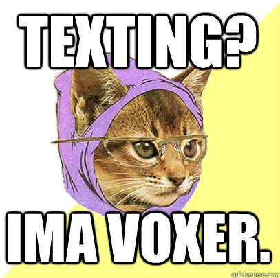 Texting? Ima Voxer.  Hipster Kitty