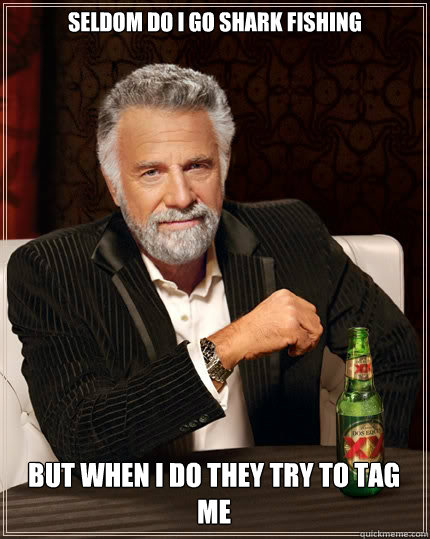 Seldom do I go shark fishing But when I do they try to tag me   The Most Interesting Man In The World