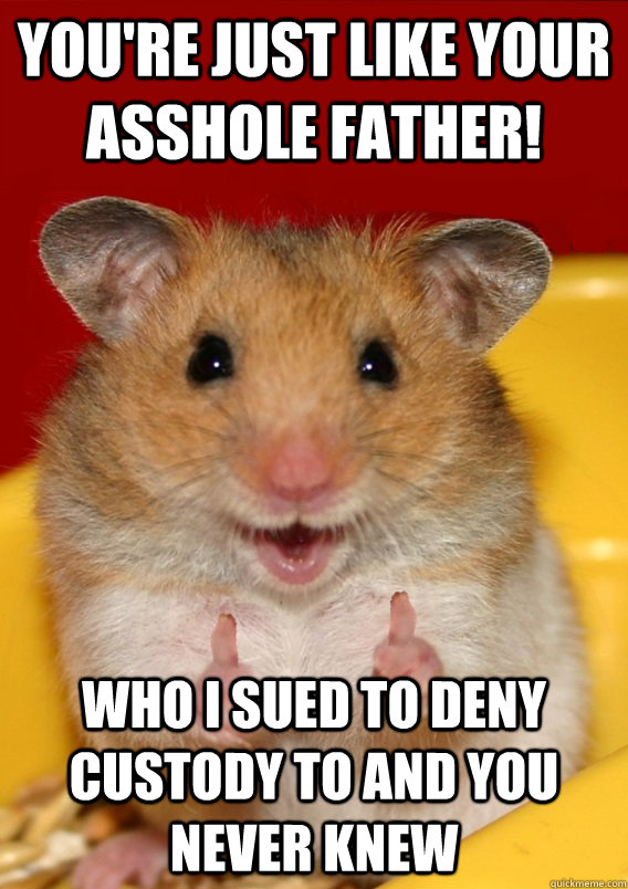 You're just like your asshole father! Who I sued to deny custody to and you never knew   Rationalization Hamster