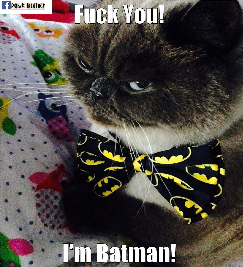 FUCK YOU! I'M BATMAN! Misc