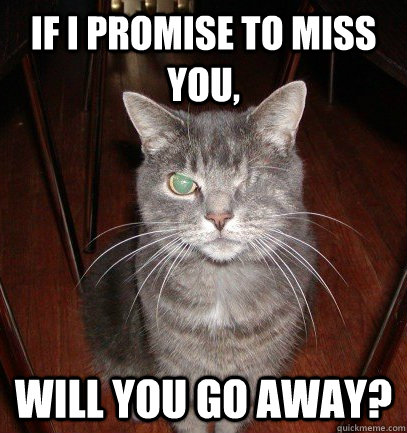 If i promise to miss you, will you go away? - If i promise to miss you, will you go away?  Sarcasticat