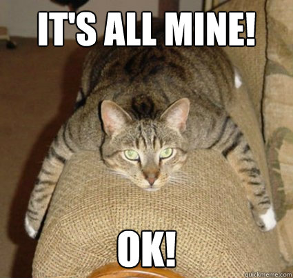 it's all mine! ok! - it's all mine! ok!  tabby cat dont care