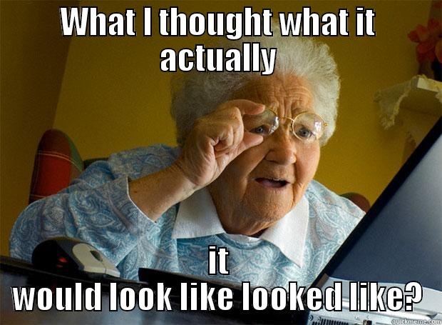 WHAT I THOUGHT WHAT IT ACTUALLY IT WOULD LOOK LIKE LOOKED LIKE? Grandma finds the Internet