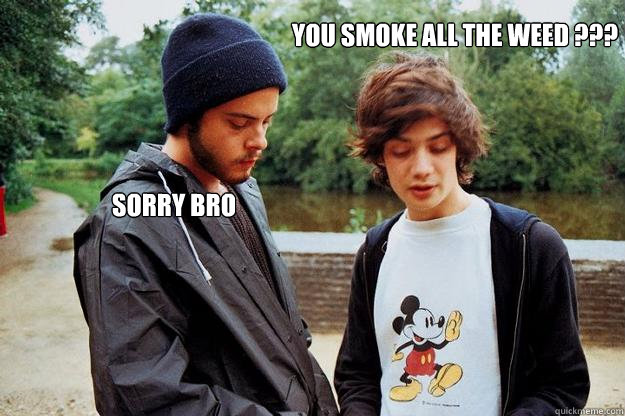 You smoke all the weed ??? Sorry bro   