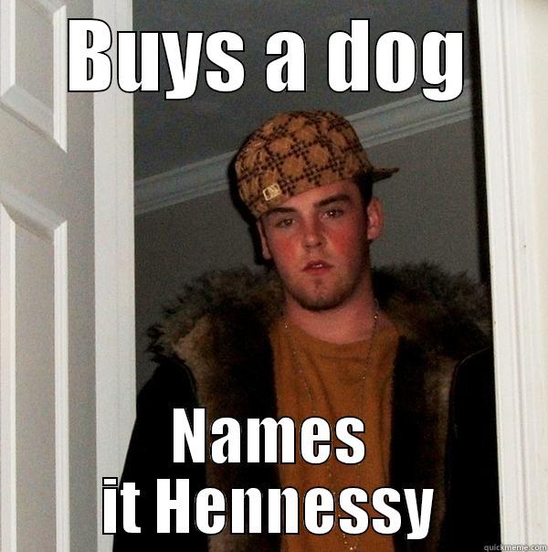 BUYS A DOG NAMES IT HENNESSY Scumbag Steve