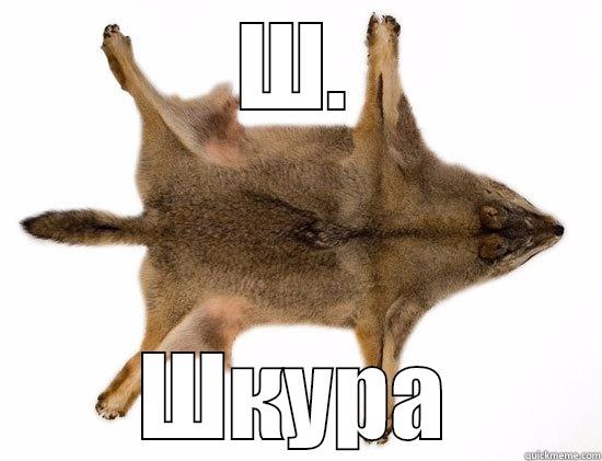 Ш. ШКУРА Misc