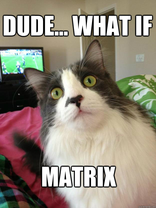 Dude... what if Matrix - Dude... what if Matrix  Crazy Cat